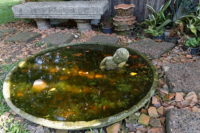 Suan Luang-JUN14-087